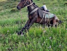 Село ГУП, Очамчырский район