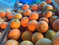 Продаю мандарины, апельсины, лимон 