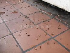 Уничтожения тараканов клопов клещей мышей и мух  