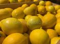 Лимон 3-4 тонны 
