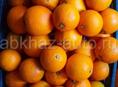 Апельсины. Сорт Вашингтон
