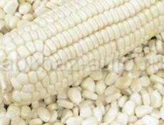Кукуруза белая на продажу имеем до двух тонн по 100 рублей, 9278308