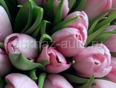 Тюльпаны с Доставкой на 8-ое марта 