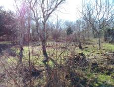 Продаю участок в киндги