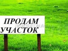 Срочная продажа земельного участка