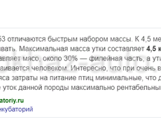 принимаю заказ на утят на апрель месяц утки старт-53