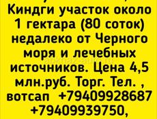 Участок в Киндги около 1 гектара 