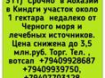 Участок 80 соток в Киндги