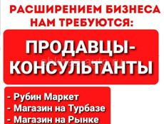 Продавец-консультант