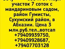 7 соток с мандариновым садом, Сухум