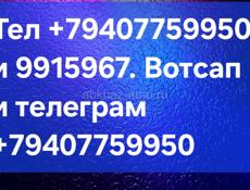 продаю диких поросят очень красивы и прикольные 