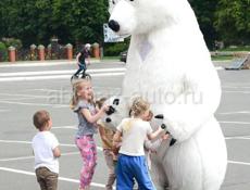 Белый Мишка для поздравления 