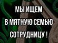 Ищем сотрудницу  , девушку . 