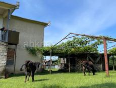 Продам  дом с большим приусадебным участком 