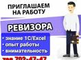 РЕВИЗОР