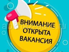 в компанию требуется помощник бухгалтера-кассир