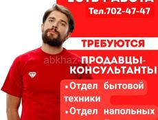 Продавец - консультант