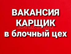 Карщик (пос.Ачадара)
