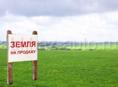 8 соток