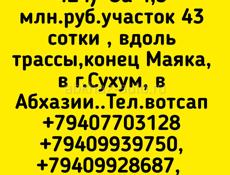 З4,5 млн.руб.43 сотки ,коне Маяка