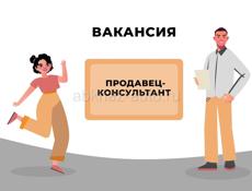 Продавец консультант 