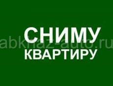 Сниму квартиру 