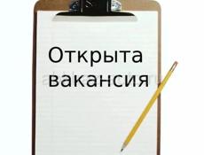 Специалист по работе с дебиторской задолженностью