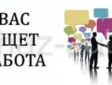 Продавец консульнтант
