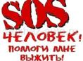 Помогите пожалуйста  🙂 хочу сабрать денег на день рождения Мамы на цветы , мне 12 лет Зовут Никита пожалуйста 🙏 