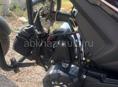 Buell