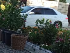 Honda Inspire