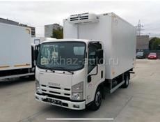 Аренда рефрежератора! Isuzu Elf. 