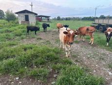 Украшения ручной работы
