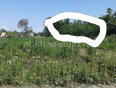 Продажа участка 40 сотых на берегу моря. Нижний Пшап. 