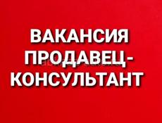 Продавец-консультант г.Гудаута