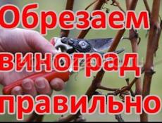 Почистим участок от сорняков 