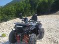 Arctic Cat