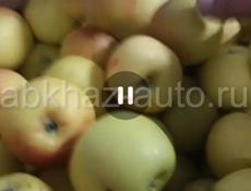 Яблока 🍎 продаем оптом 