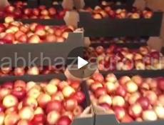 Яблока 🍎 продаем оптом 