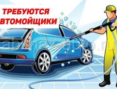 Требуется автомойщик 