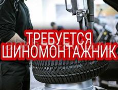 Требуется Шиномонтажник