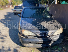Nissan Primera