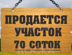 Участок 70 соток 