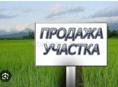 Продам участак 10 соток, колхида (псахара)