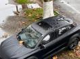 BMW E