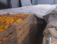 Мандарины собранные 