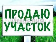 Колхида, 15 соток 