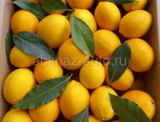 ПРОДАМ КИВИ 
