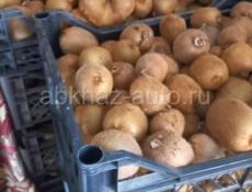 ПРОДАМ КИВИ 
