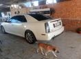 Cadillac STS